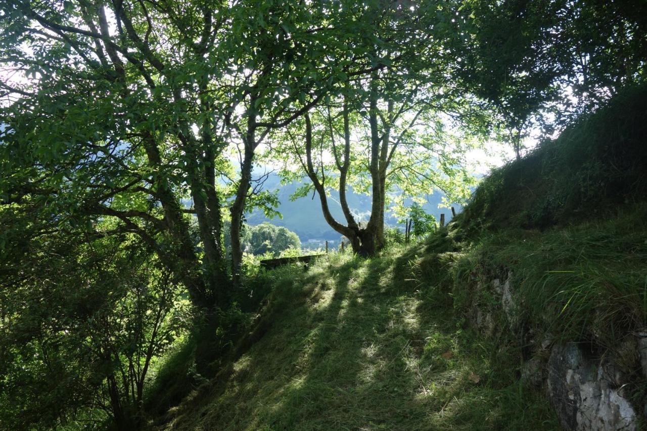 Gite Montagne Et Vie Bedous Exteriör bild